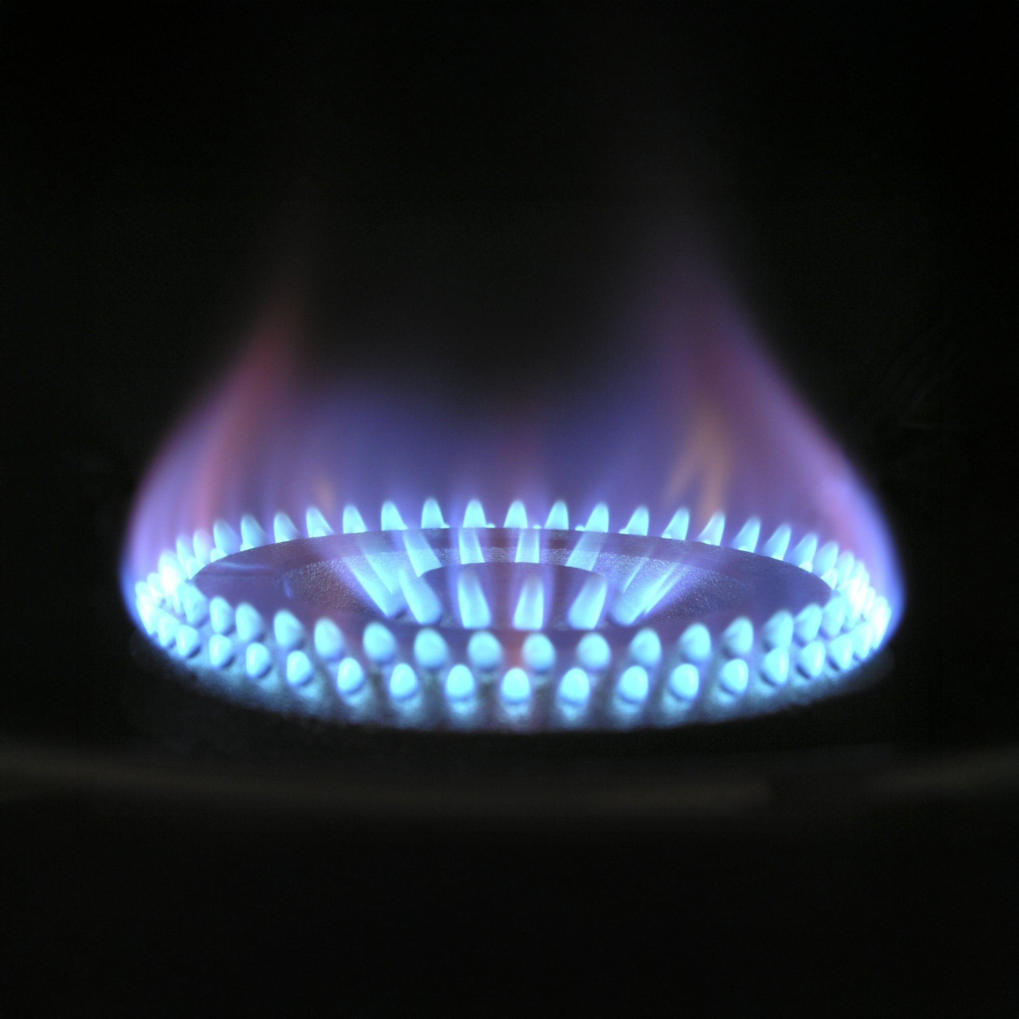 Bakan Bayraktar: Kışa Girerken Doğalgaz ve Elektrikte Zam Yok